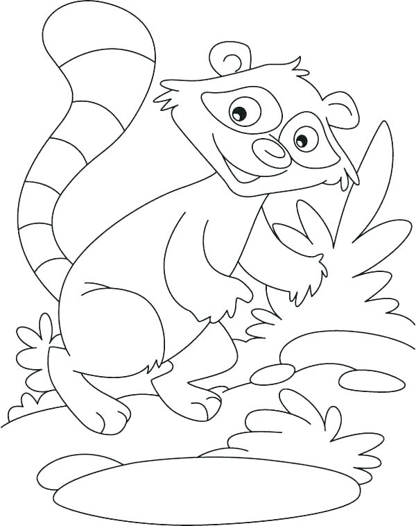 600x758 Raccoon Coloring Page Free Printable Raccoon Coloring Pages