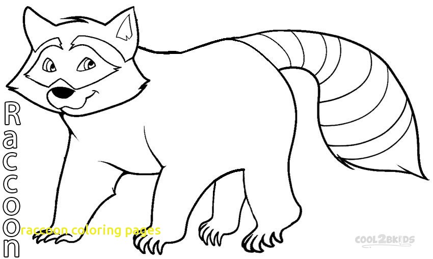 850x509 Raccoon Coloring Pages With Printable Raccoon Coloring Pages
