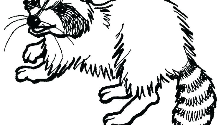 750x425 Racoon Coloring Page Coloring Pages Online Hard Raccoon Sheet