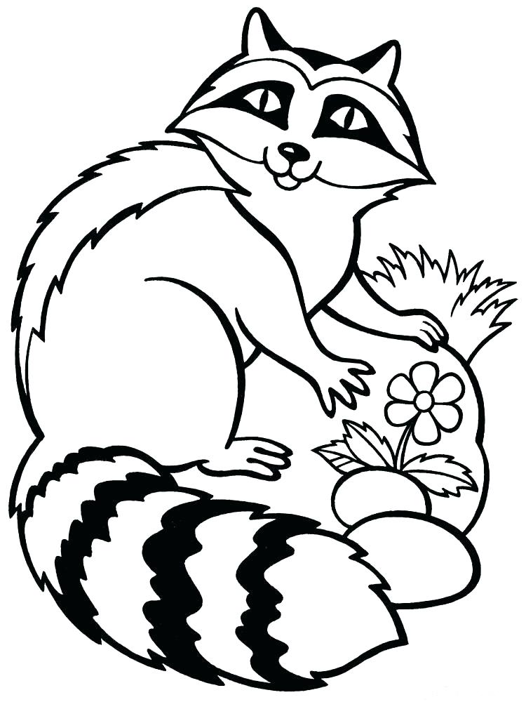 750x1000 Racoon Coloring Page Rocket Coloring Page Rocket Ship On Earth