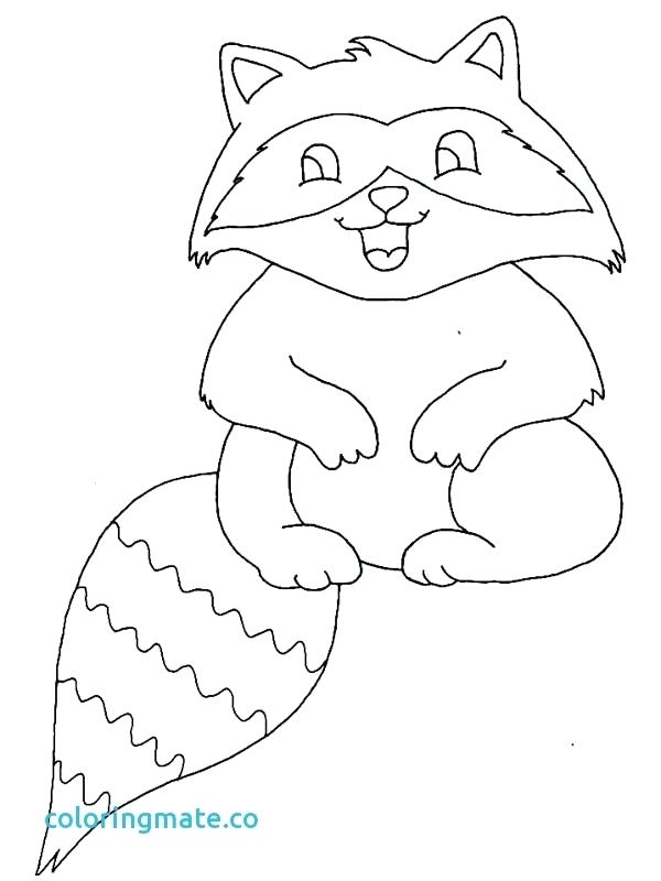600x800 The Kissing Hand Coloring Pages Raccoon Coloring Great Raccoon