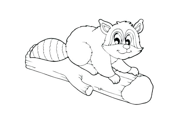 600x423 Opossum Coloring Page Raccoon Coloring Pages Beautiful Raccoon