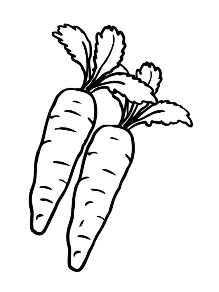 750x1000 Free Printable Carrot Coloring Pages For Kids