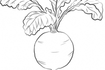 210x140 Printable Mushroom Coloring Pages