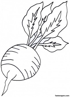 243x338 Printable Vegetable Radish Coloring Page