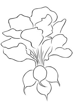 236x334 Red Radish Coloring Page Coloring Pics Printable