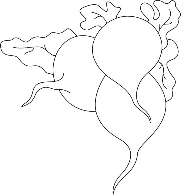 597x644 Three Red Radish Coloring Page Download Free Three Red Radish