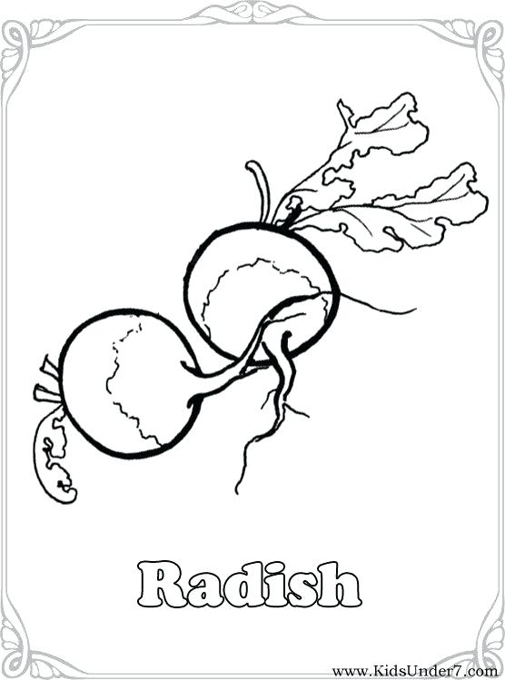 556x749 Vegetable Coloring Pictures Top Vegetable Coloring Pages Pic