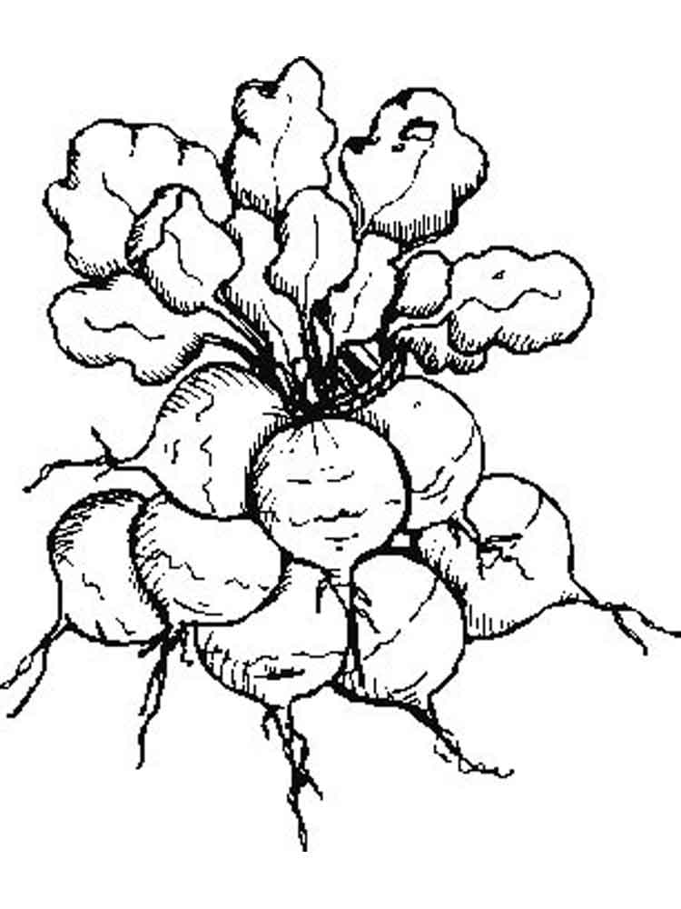 750x1000 Vegetables Radish Coloring Page