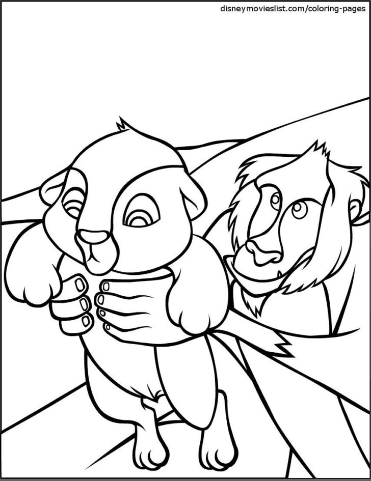 728x945 Rafiki Coloring Pages Coloring Pages Kids