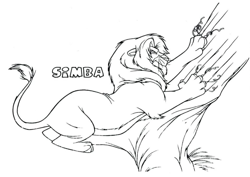 1043x737 Lion King Coloring Pages Mufasa The Pride Assigns And To Rafiki