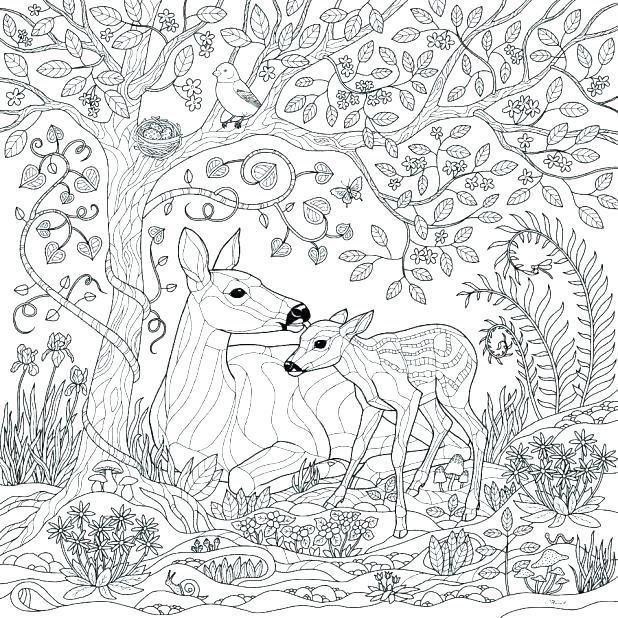 618x618 Rain Forest Coloring Pages Care Bears Sunshine Coloring Pages Free