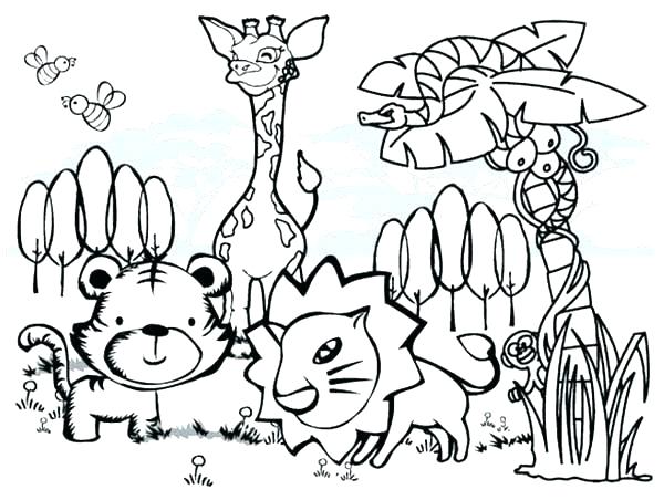 600x452 Rainforest Coloring Pages Amazon Coloring Pages Forest Animal
