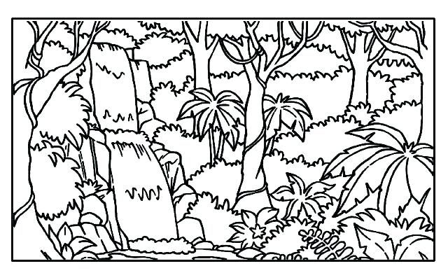 640x400 Tropical Rainforest Coloring Pages Tropical Coloring Pages