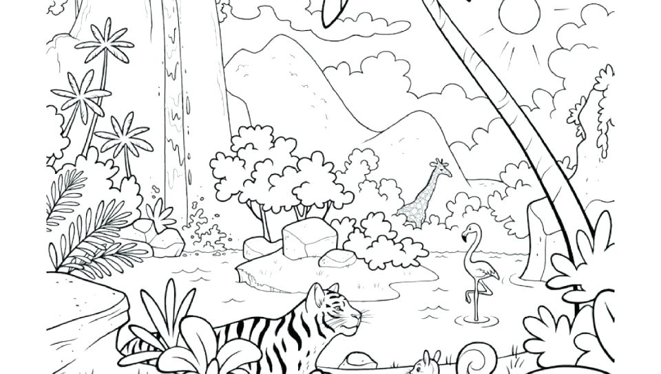 960x544 Tropical Rainforest Coloring Pages