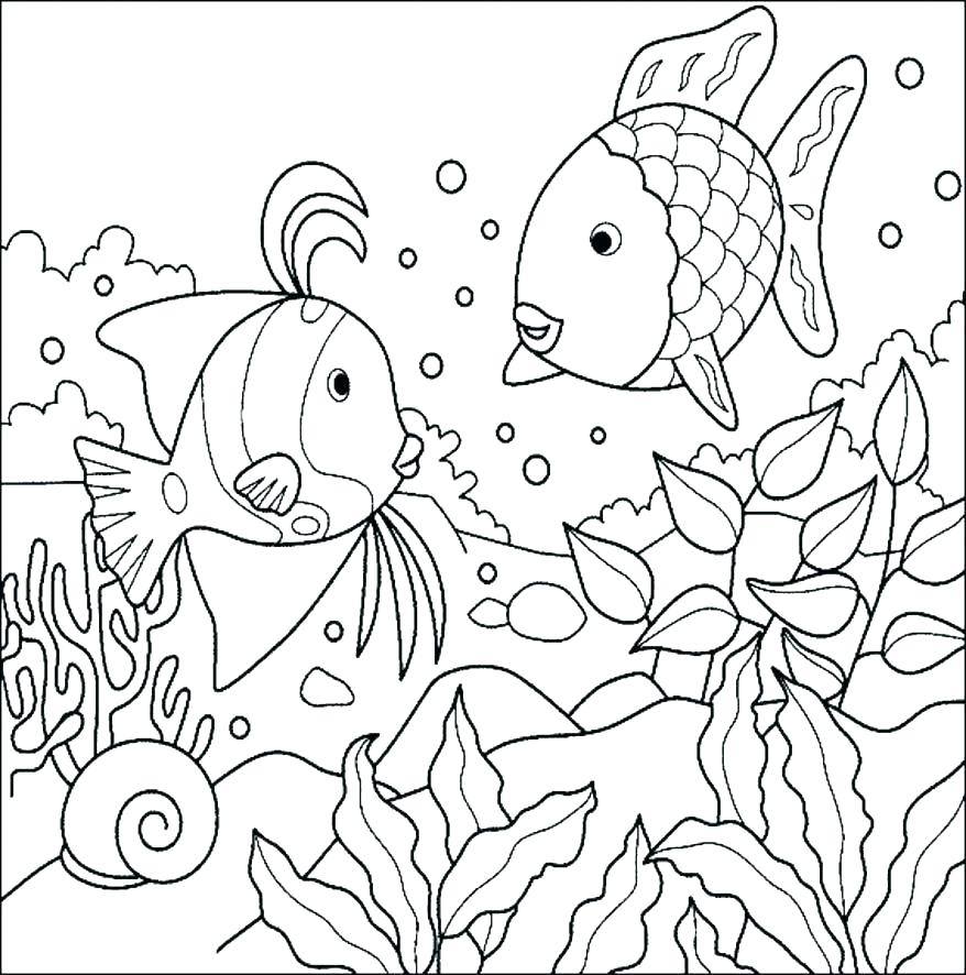 878x886 Forest Coloring Forest Coloring Pages Rain Forest Coloring Pages