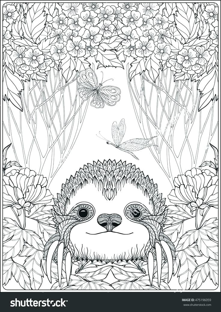 736x1035 Forest Coloring Page Pics Of Enchanted Forest Coloring Book Pages