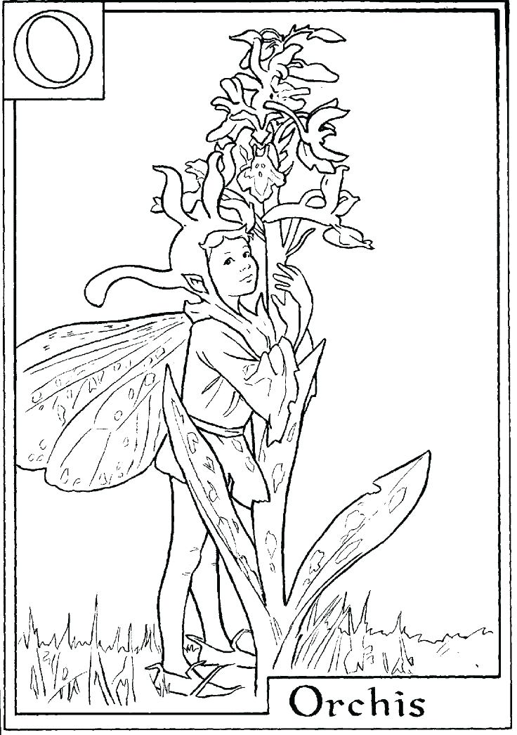 736x1046 Rainbow Magic Fairy Coloring Pages Rainbow Magic Fairy Coloring