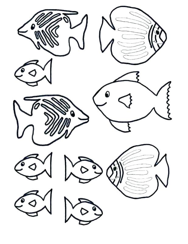 618x800 Rainbow Trout Coloring Page Finest Coloring Page Of A Rainbow