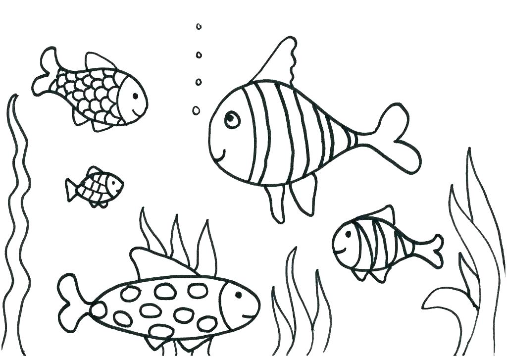 1024x723 Remarkable Rainbow Trout Coloring Page Coloring Pages Free Kids