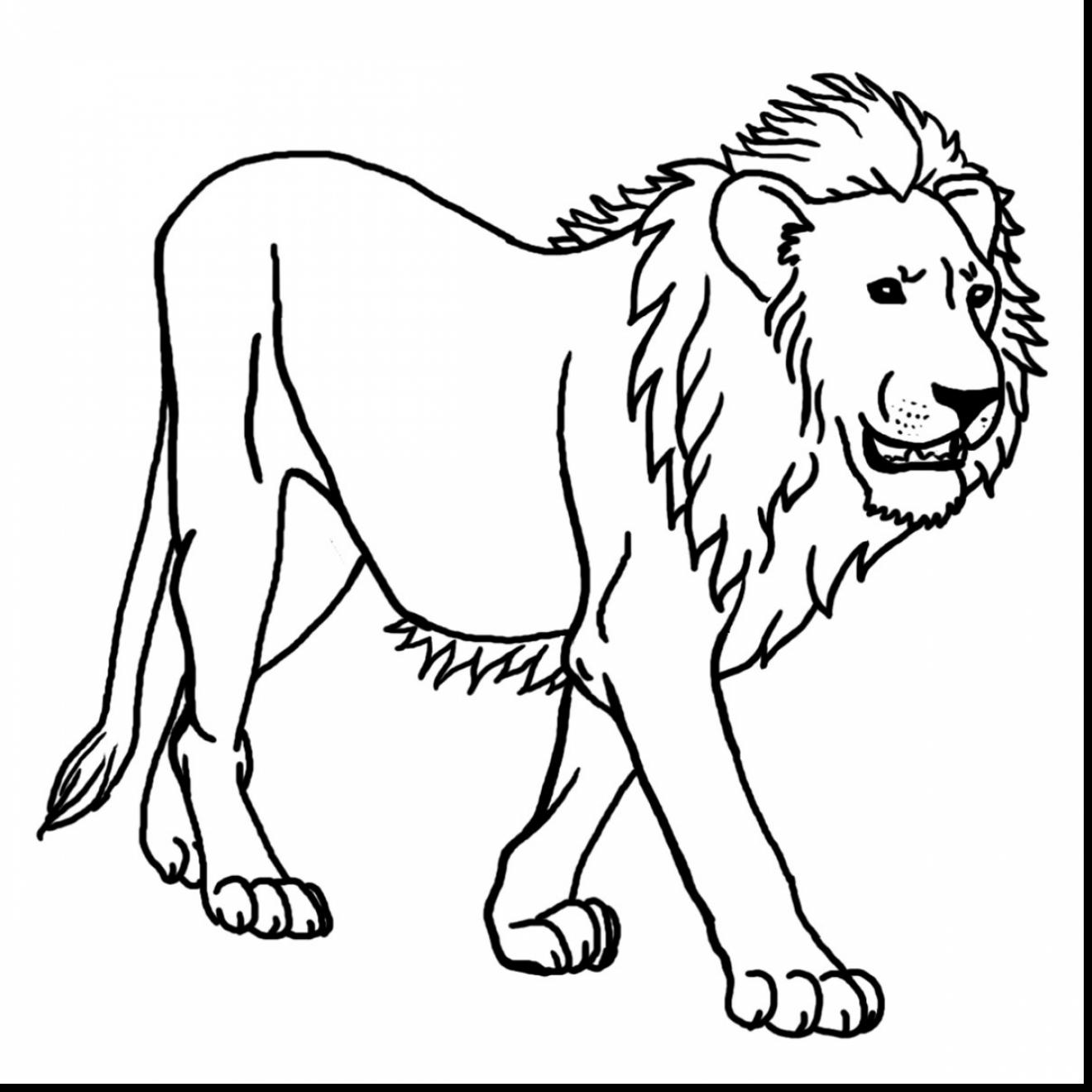 1320x1320 African Rainforest Animals Coloring Pages Free Printable Pictures