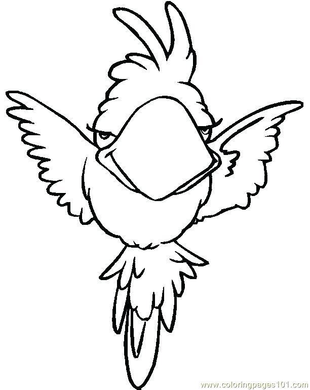 612x770 Parrot Coloring Pages Parrot Coloring Pages Printable Rainforest