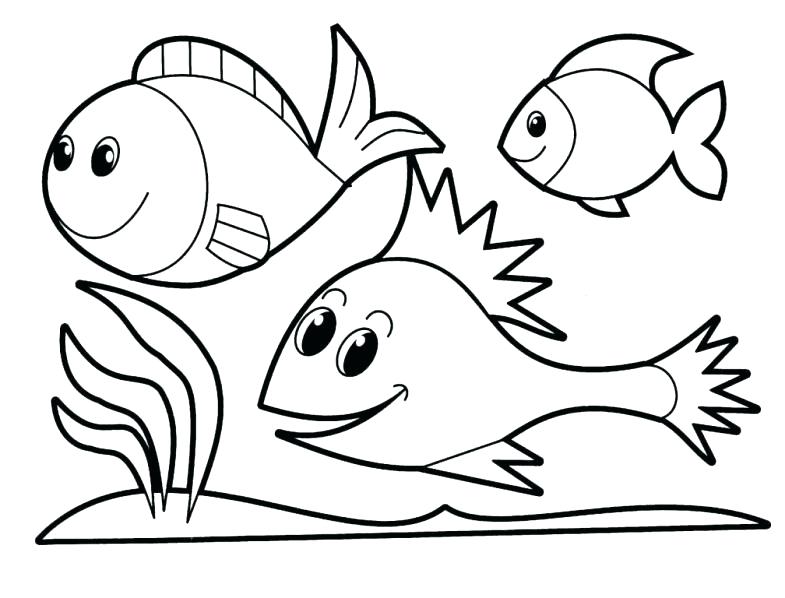 785x598 Tropical Coloring Pages Tropical Birds And Garden Coloring Page