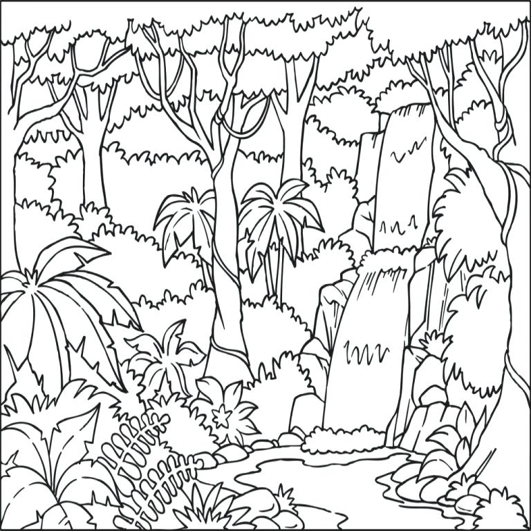 768x768 Rainforest Coloring Pages Photo Gallery Of The Coloring Page