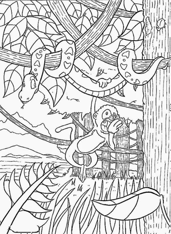 584x800 Rainforest Coloring Pictures Free Coloring Pictures