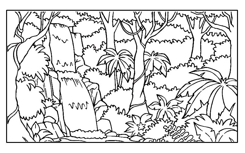 800x500 Jungle Coloring Pages Printable Rainforest Clipart Coloring Page