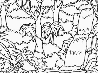 320x240 Printable Rainforest Coloring Pages Rainforest Coloring Pages