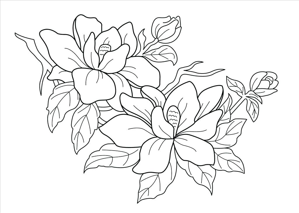 1024x730 Rainforest Coloring Pages Free Coloring Pages Free Coloring Pages