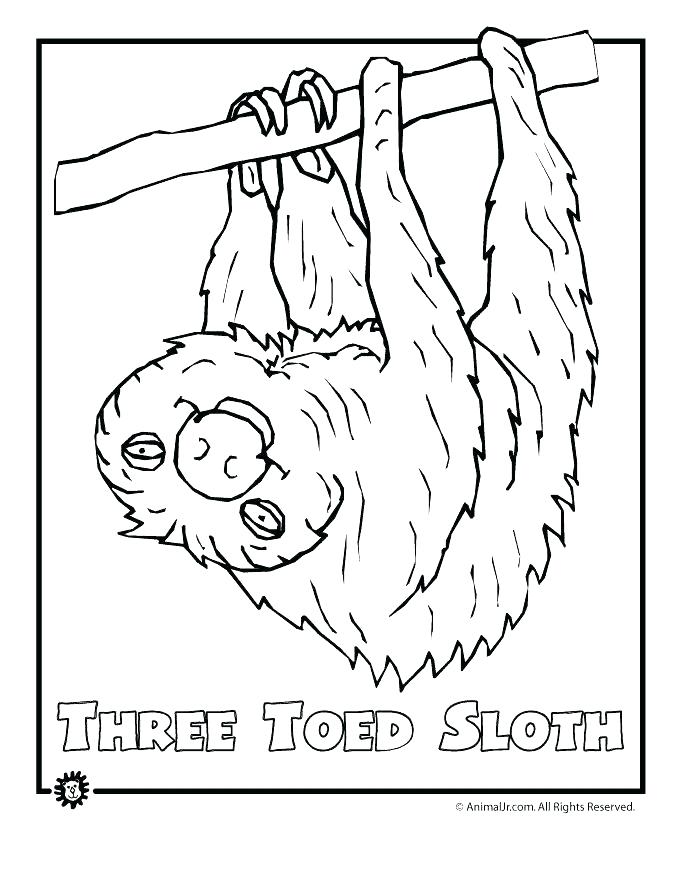 680x880 Rainforest Colouring Pages To Print Printable Coloring Pages