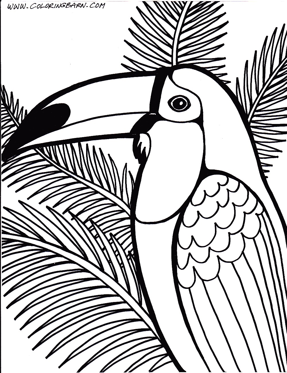 1000x1303 Rainforest Coloring Pages