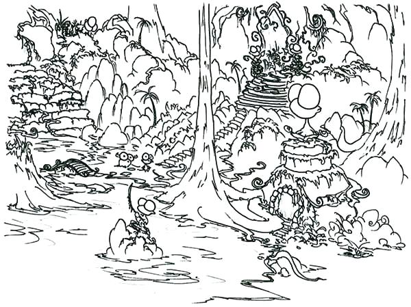 600x449 Daintree Rainforest Coloring Pages Picture Coloring Page Download