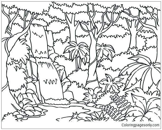 613x492 Forest Coloring Enchanted Rainforest Coloring Pictures