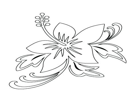 476x333 Shrub Coloring Book Pages Page Image Images Exotic Flowers