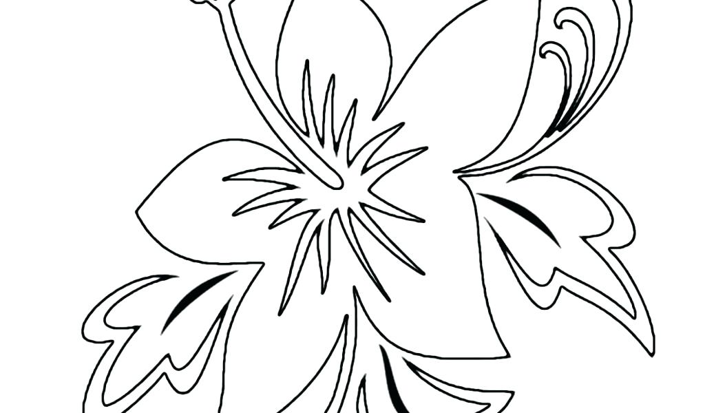 1024x600 Tropical Flower Coloring Pages Orchid Flower Tropical Flower