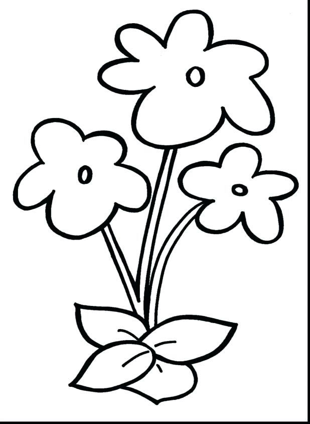 618x844 Tropical Flower Coloring Pages