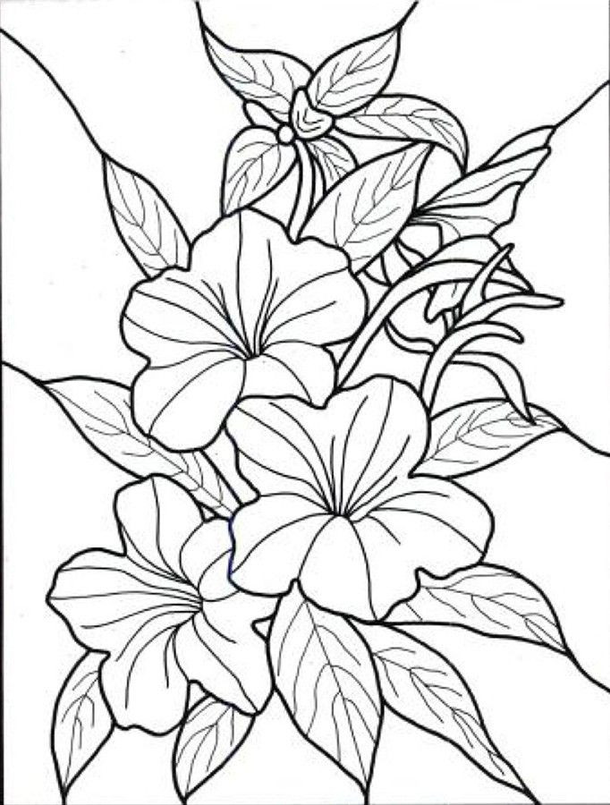 682x900 Coloring Pages Printables Flowers