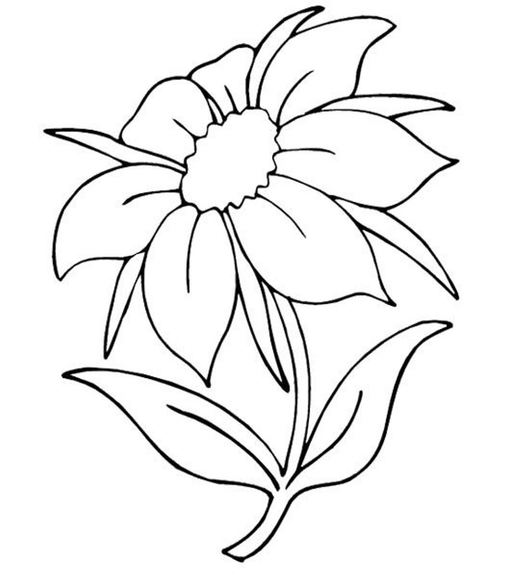 1021x1117 Flower Coloring Pages