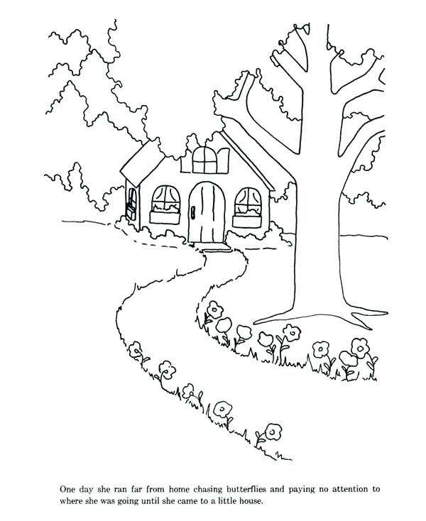600x734 Forest Coloring Page House Near Forest Coloring Page Rainforest