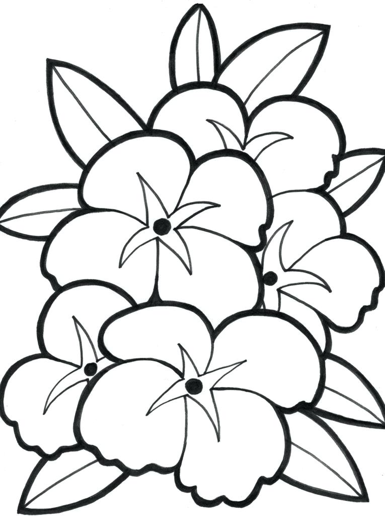 765x1024 Plants Coloring Pages Begonia Plant To Print Desert Animals Free