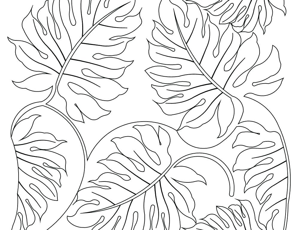 1000x768 Plants Coloring Pages Best Plants Coloring Page For Kids Drawing