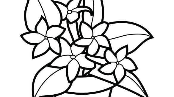 585x329 Plants Coloring Pages Plant Coloring Pages Plants Rainforest