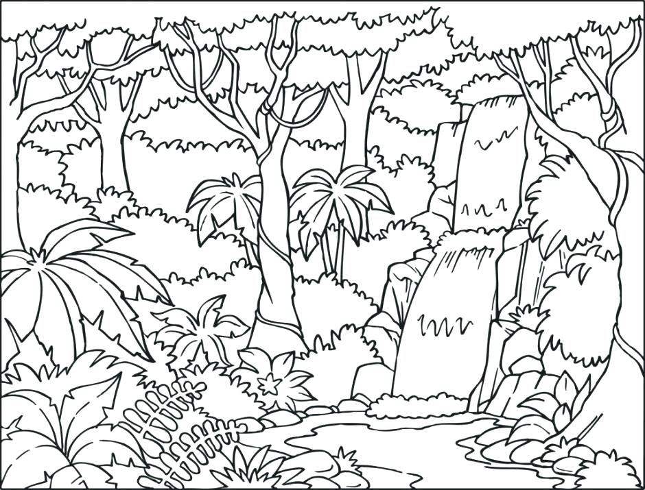 940x715 Rainforest Coloring Pages Drawn Coloring Page Pencil And In Color