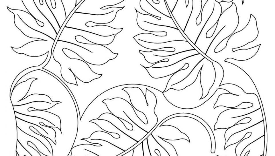 960x544 Rainforest Coloring Pages Rainforest Plants Coloring Pages Nice