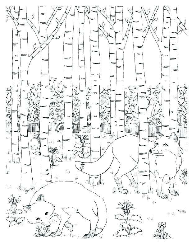 618x800 Rainforest Plants And Flowers Coloring Pages Rain Forest Coloring