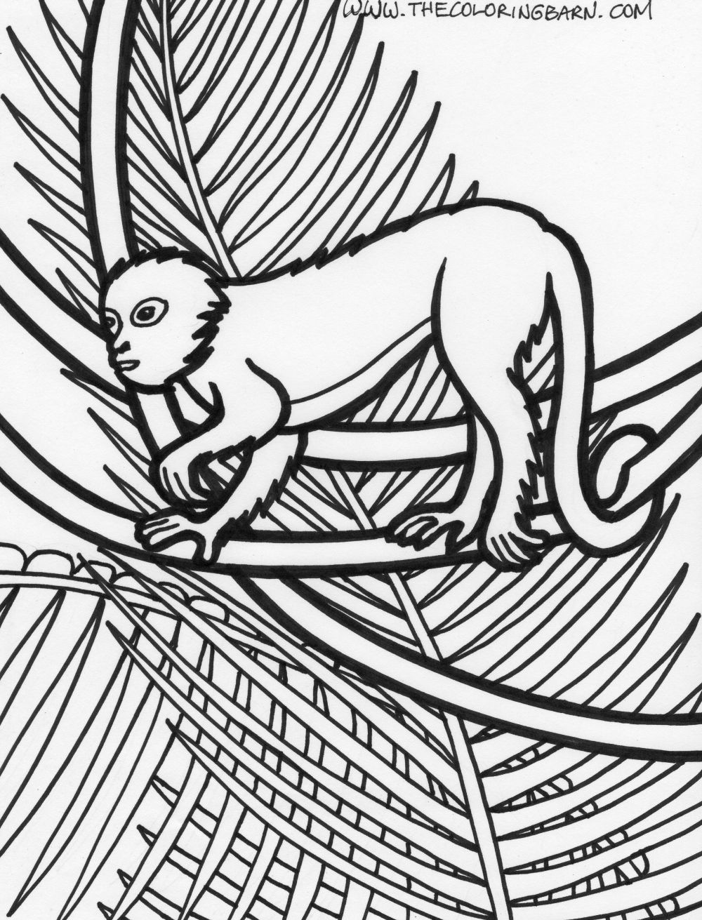 1000x1311 Rainforest Plants Coloring Pages Page Rainforest Monkey Coloring