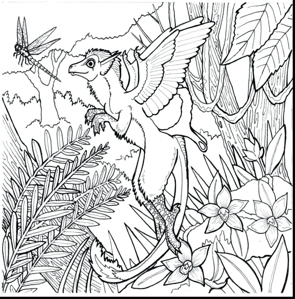 1024x1041 Coloring Pages Rainforest Coloring Pages Plants For Adults Free